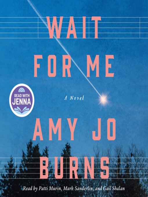Cover image for Wait for Me